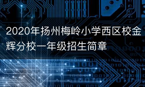 2020年扬州梅岭小学西区校金辉分校一年级招生简章