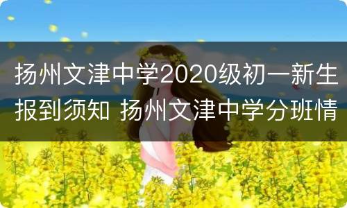 扬州文津中学2020级初一新生报到须知 扬州文津中学分班情况