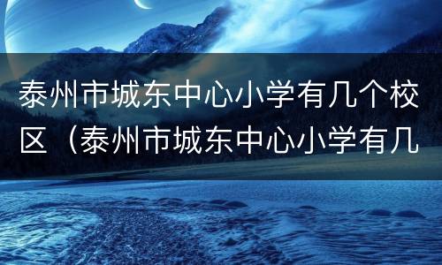 泰州市城东中心小学有几个校区（泰州市城东中心小学有几个校区地址）