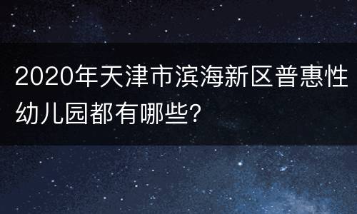 2020年天津市滨海新区普惠性幼儿园都有哪些？