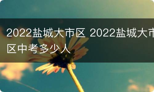 2022盐城大市区 2022盐城大市区中考多少人