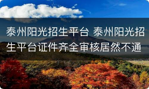 泰州阳光招生平台 泰州阳光招生平台证件齐全审核居然不通过