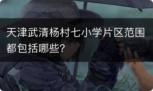 天津武清杨村七小学片区范围都包括哪些？