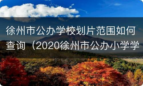 徐州市公办学校划片范围如何查询（2020徐州市公办小学学区划分）