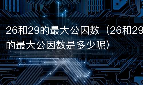 26和29的最大公因数（26和29的最大公因数是多少呢）