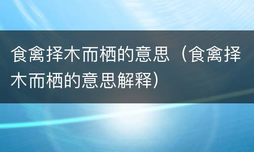 食禽择木而栖的意思（食禽择木而栖的意思解释）