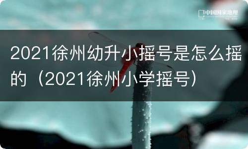 2021徐州幼升小摇号是怎么摇的（2021徐州小学摇号）