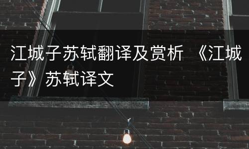 江城子苏轼翻译及赏析 《江城子》苏轼译文