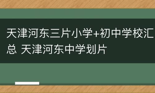 天津河东三片小学+初中学校汇总 天津河东中学划片