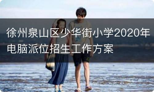 徐州泉山区少华街小学2020年电脑派位招生工作方案