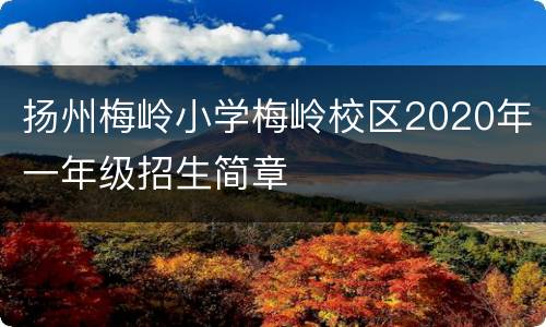 扬州梅岭小学梅岭校区2020年一年级招生简章