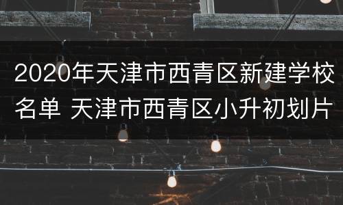 2020年天津市西青区新建学校名单 天津市西青区小升初划片2020