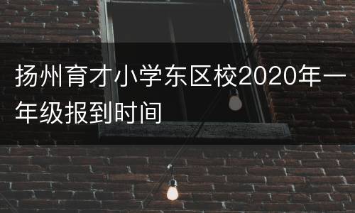 扬州育才小学东区校2020年一年级报到时间