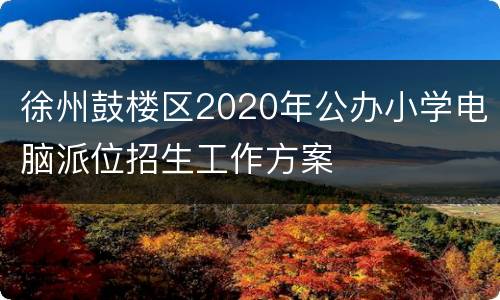 徐州鼓楼区2020年公办小学电脑派位招生工作方案