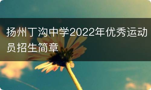 扬州丁沟中学2022年优秀运动员招生简章