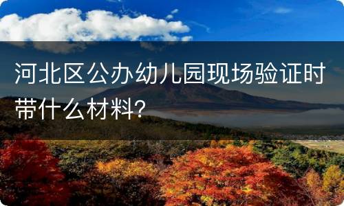 河北区公办幼儿园现场验证时带什么材料？