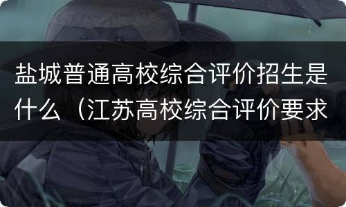 盐城普通高校综合评价招生是什么（江苏高校综合评价要求）