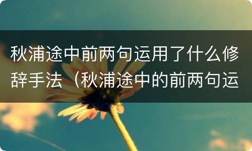 秋浦途中前两句运用了什么修辞手法（秋浦途中的前两句运用了什么修辞手法）