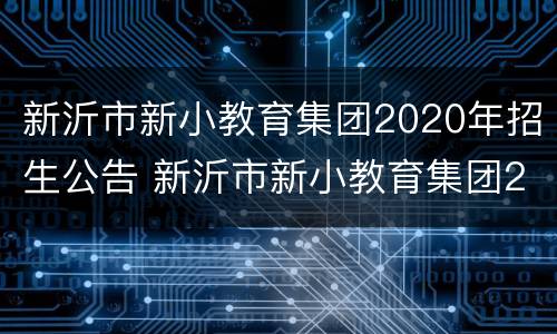 新沂市新小教育集团2020年招生公告 新沂市新小教育集团2020年招生公告表