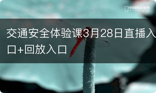 交通安全体验课3月28日直播入口+回放入口