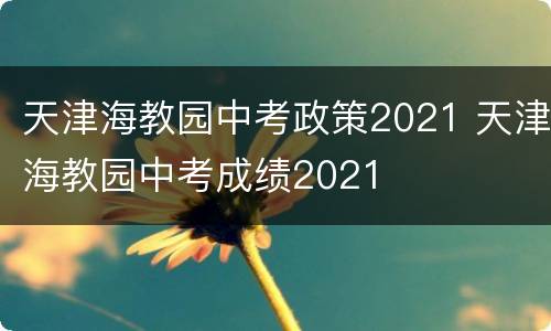 天津海教园中考政策2021 天津海教园中考成绩2021