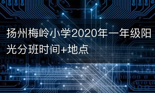 扬州梅岭小学2020年一年级阳光分班时间+地点