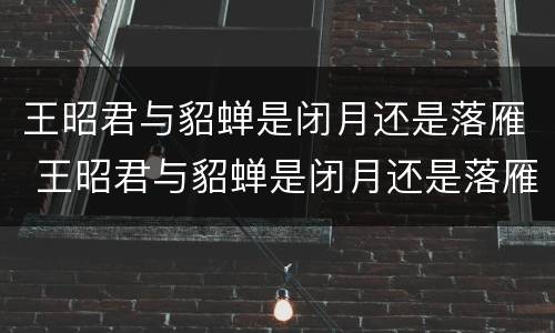 王昭君与貂蝉是闭月还是落雁 王昭君与貂蝉是闭月还是落雁