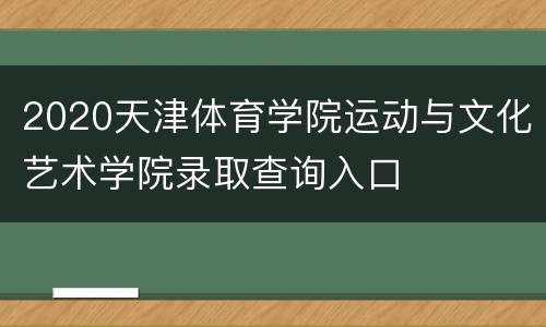 2020天津体育学院运动与文化艺术学院录取查询入口