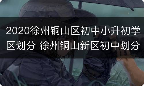 2020徐州铜山区初中小升初学区划分 徐州铜山新区初中划分