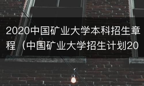 2020中国矿业大学本科招生章程（中国矿业大学招生计划2020）