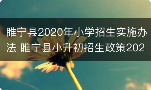 睢宁县2020年小学招生实施办法 睢宁县小升初招生政策2020