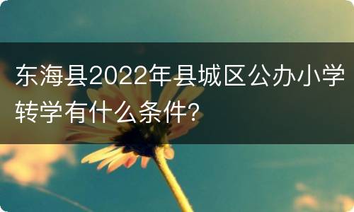 东海县2022年县城区公办小学转学有什么条件？