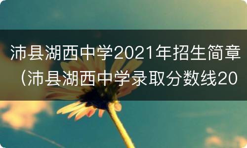 沛县湖西中学2021年招生简章（沛县湖西中学录取分数线2021）