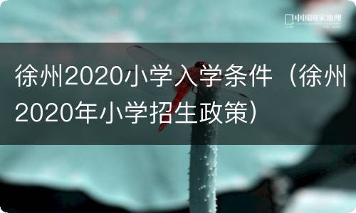 徐州2020小学入学条件（徐州2020年小学招生政策）