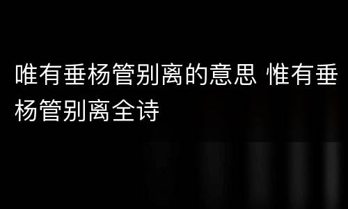 唯有垂杨管别离的意思 惟有垂杨管别离全诗