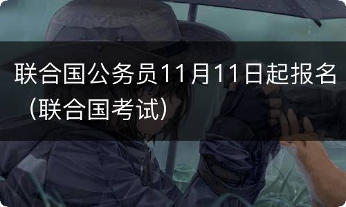 联合国公务员11月11日起报名（联合国考试）