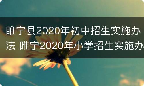 睢宁县2020年初中招生实施办法 睢宁2020年小学招生实施办法