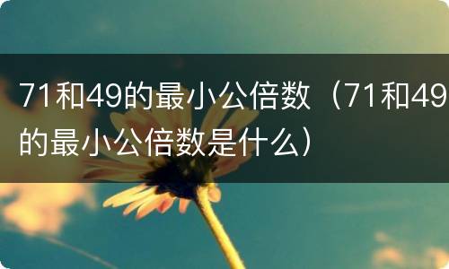 71和49的最小公倍数（71和49的最小公倍数是什么）