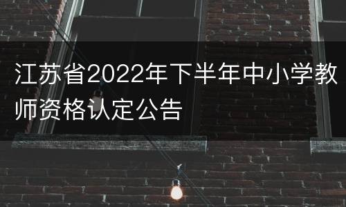 江苏省2022年下半年中小学教师资格认定公告