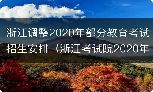 浙江调整2020年部分教育考试招生安排（浙江考试院2020年高校招生计划）