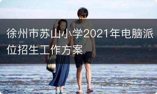 徐州市苏山小学2021年电脑派位招生工作方案