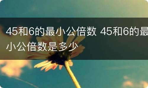 45和6的最小公倍数 45和6的最小公倍数是多少