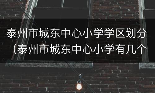 泰州市城东中心小学学区划分（泰州市城东中心小学有几个校区）