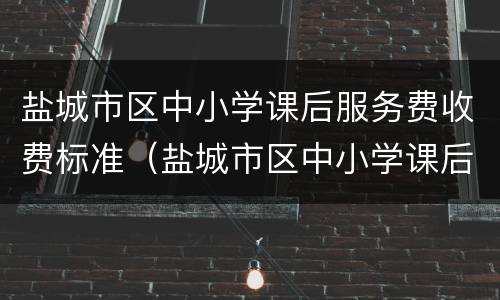 盐城市区中小学课后服务费收费标准（盐城市区中小学课后服务费收费标准表）