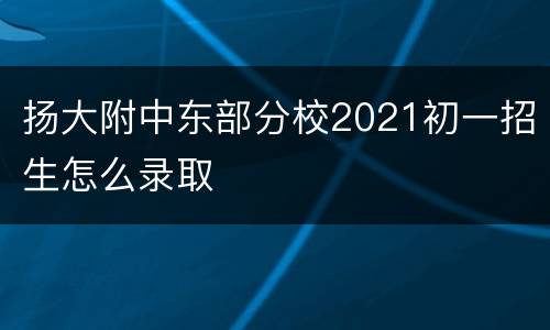 扬大附中东部分校2021初一招生怎么录取