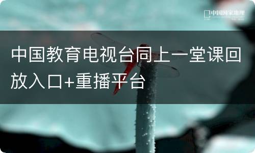 中国教育电视台同上一堂课回放入口+重播平台