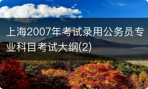 上海2007年考试录用公务员专业科目考试大纲(2)