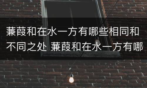 蒹葭和在水一方有哪些相同和不同之处 蒹葭和在水一方有哪些不同之处