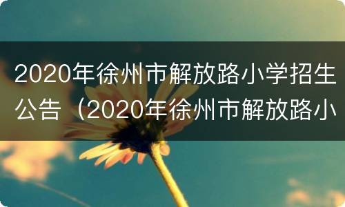 2020年徐州市解放路小学招生公告（2020年徐州市解放路小学招生公告时间）