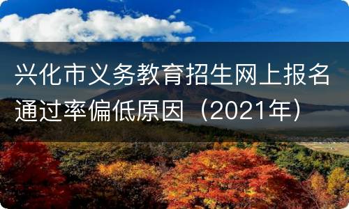 兴化市义务教育招生网上报名通过率偏低原因（2021年）